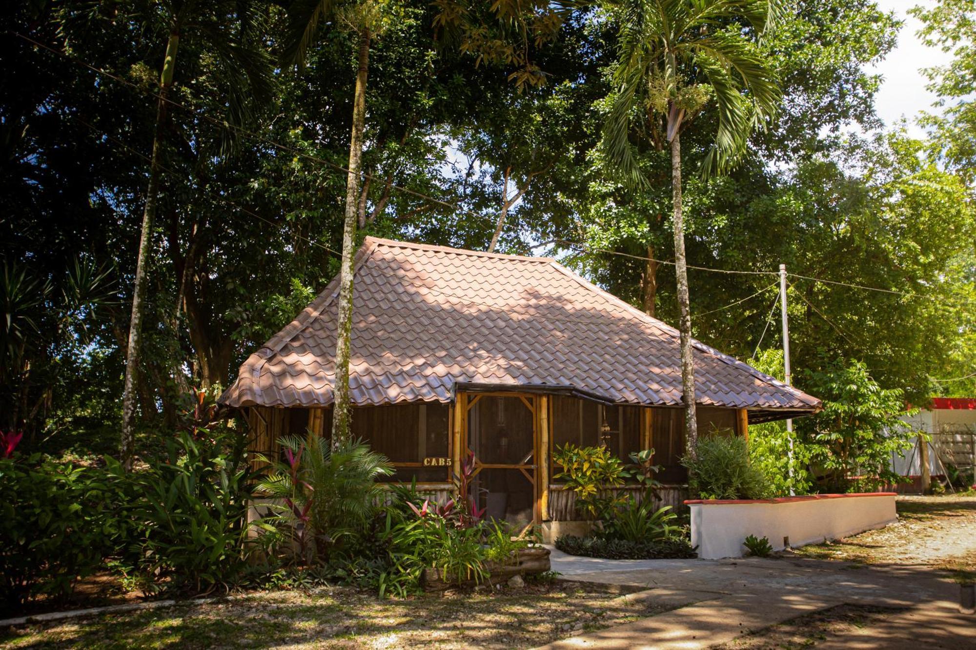 Falling Leaves Lodge San Ignacio Exterior photo